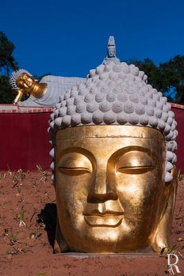 Bacalha Buddha Eden  em 12 de setembro de 2008