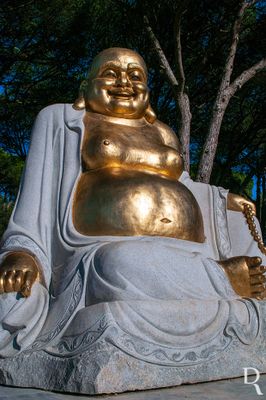 Bacalha Buddha Eden  em 12 de setembro de 2008