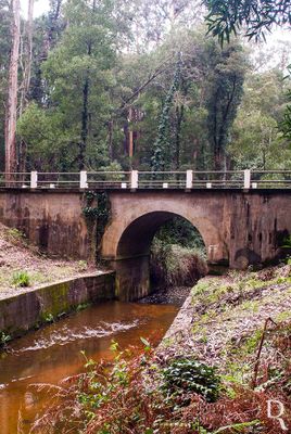 Ponte Nova