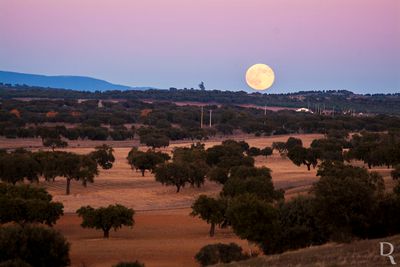 O Nascer da Lua no Alentejo