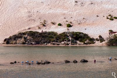A Biodiversidade do Rio Salir