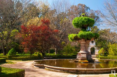  (...) 1774 - incio das obras com a compra de uma parte da cerca dos Marianos que foi acrescentada a outras terras oferecidas pelo colgio de S. Bento, iniciando-se o aterro do vale destinado  criao de um terrao quadrado de grandes dimenses; Domingos Vandelli assume a orientao botnica do jardim; 1776 - Construo da primeira estufa; 1779 - fim da construo dos lanos das escadarias;  (...) 

Horcio Bonifcio e Marta Calada [excertos], in http://www.monumentos.gov.pt/Site/APP_PagesUser/SIPA.aspx?id=2597 