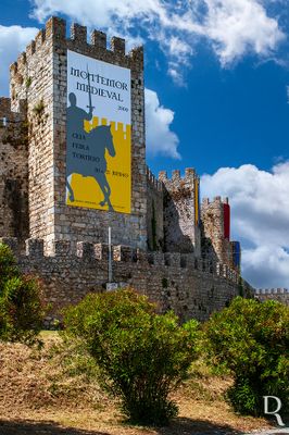   (...) 1109 - D. Afonso Henriques e sua me, D. Teresa, tero ordenado novas reformas no castelo, sc. 12, 1 tero - reedificao da Igreja, sagrada entre 1128 e 1131 no priorado de D. Sesnando; 1211 - confirmao papal do legado do Castelo por D. Sancho I a sua filha D. Teresa;   (...)

Joo Cravo, Horcio Bonifcio e Margarida Alada [excertos], in http://www.monumentos.gov.pt/Site/APP_PagesUser/SIPA.aspx?id=2593 