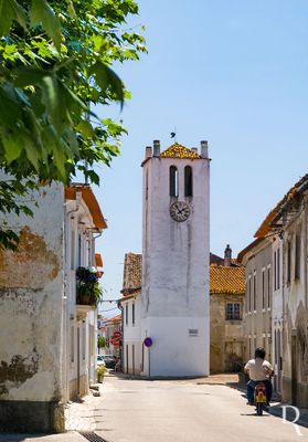  Montemor-o-Velho, Tentgal.
 
Torre de origem medieval, apresenta feio gtica na verticalidade, tipo de aberturas e coroamento.

Proteo: Imvel de Interesse Pblico.

poca de construo: Sc. 15.

Joo Cravo e Horcio Bonifcio [excertso], in http://www.monumentos.gov.pt/Site/APP_PagesUser/SIPA.aspx?id=2588 