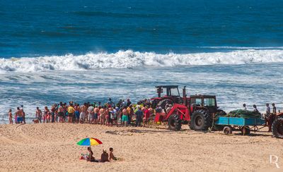 O Trio Anti-peixe