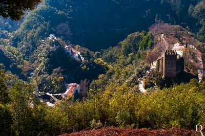 O Castelo e a Ermida de N. S. da Piedade