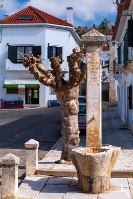 O Chafariz de Santa Catarina