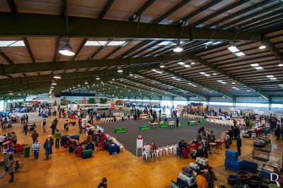 Expoeste