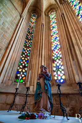 (...) cobertura em abóbada de cruzaria de ogivas conjugadas com nervuras secundárias em losango e cruz; absidíolos de 2 tramos idênticos entre si e comunicantes, abrindo para o transepto por arcos quebrados com franjas polilobadas e cobertos por abóbada de cruzaria de ogivas com cadeia longitudinal, todos contendo tumulária. (...)
Isabel Mendonça, Lina Marques e Cecília Matias (excertos), in http://www.monumentos.gov.pt/Site/APP_PagesUser/SIPA.aspx?id=4061