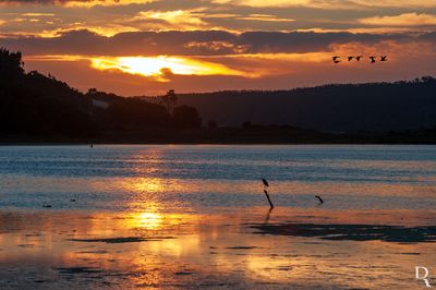 A Lagoa de Óbidos em 2 de outubro de 2010