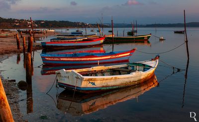 As Bateiras da Lagoa