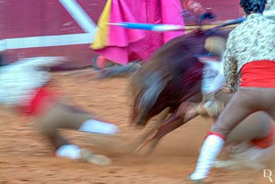 Os Forcados das Caldas