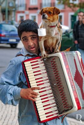 O Acordeonista Ubquo