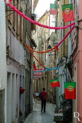 Rua das Azeiteiras