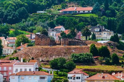 Ruínas do Castelo de Alcobaça