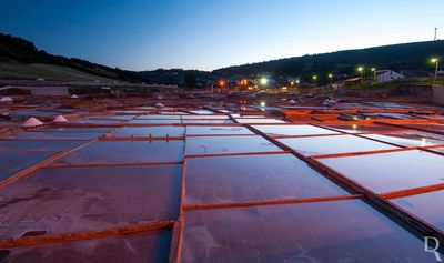 As Salinas de Rio Maior