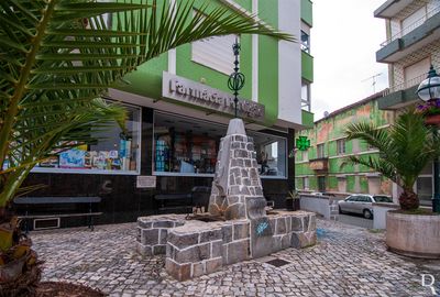O Chafariz do Bairro da Ponte