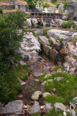 Ribeira de Loriga