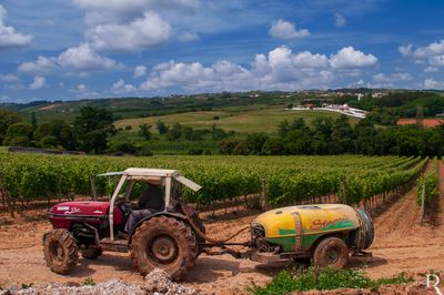 Quinta dos Loridos