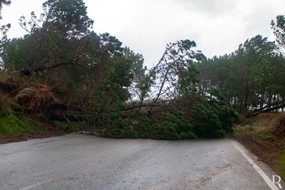A Estrada Atlântica em 19 de janeiro de 2013