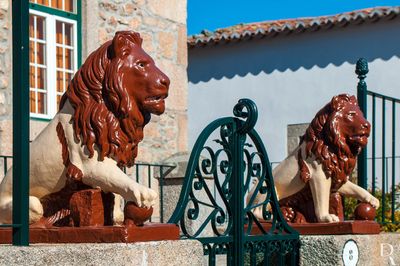 Lion Bar
