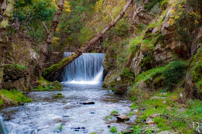 O Rio Arouce