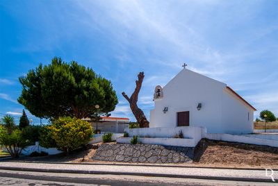 Capela e Pinheiro de Santo Antnio