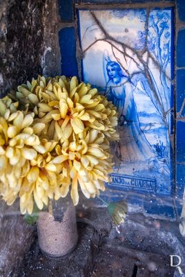 Alminhas de Castanheira de Pera