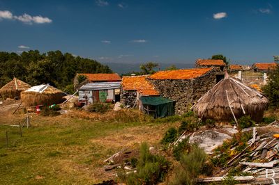 Carvalhal de Vermilhas 