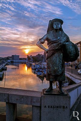 A SALINEIRA: usa os trajes tradicionais e uma canastra à cabeça.
https://www.cm-aveiro.pt/visitantes/arte-publica/estatuas-e-bustos/poi/estatuas-das-pontes