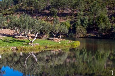 Praia Fluvial do Malhadal