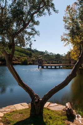 Praia Fluvial do Malhadal