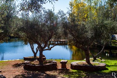 Praia Fluvial do Malhadal
