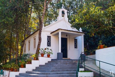 Termas de Monte Real