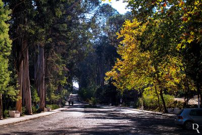 Termas de Monte Real