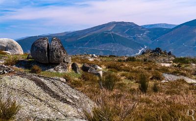 A Serra da Aboboreira