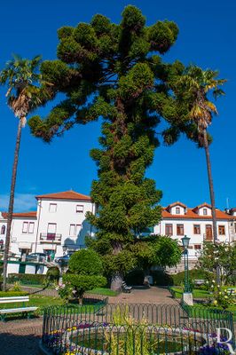 Jardim Conde Ferreira