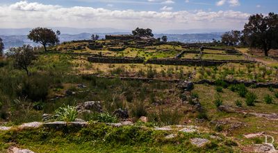 Citnia de Sanfins