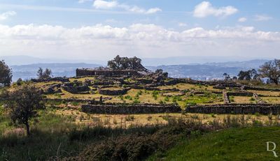 Citnia de Sanfins