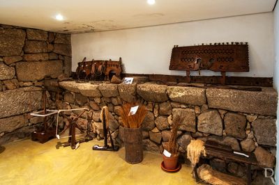 Museu Arqueolgico da Citnia de Sanfins