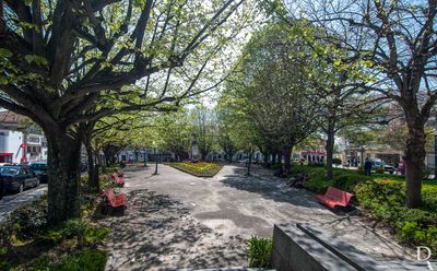 Jardim da P. D. Maria II