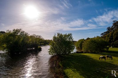 PORTO - Parque da Cidade