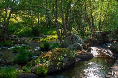 Praia Fluvial de Mondim da Beira
