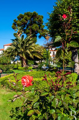 Jardim Conde Ferreira