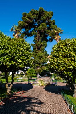 Jardim Conde Ferreira