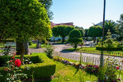 Jardim Conde Ferreira