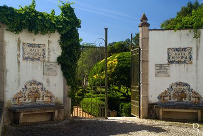 A Mata do Bombarral