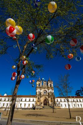 Alcobaça e o Mosteiro