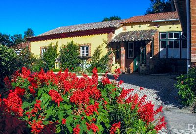 Museu da Fbrica Bordallo Pinheiro