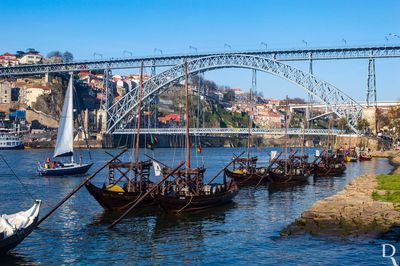 Ponte D. Lus